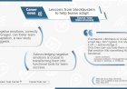 Lessons from blockbusters to help teams adapt